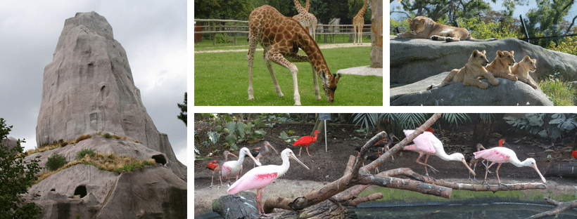 Des z'animaux à Paris 3