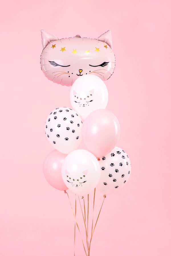 Lot de 6 ballons Chat