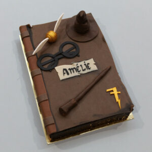 Potter's Grimoire Cake