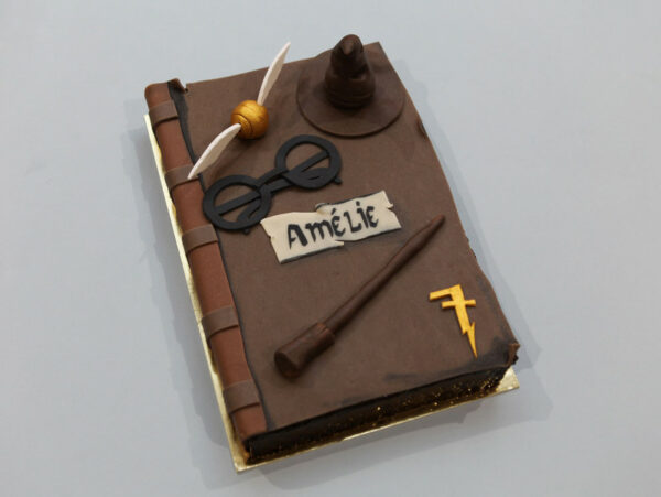 Potter's Grimoire Cake