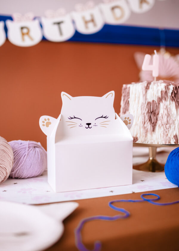 Boite à gateaux chat