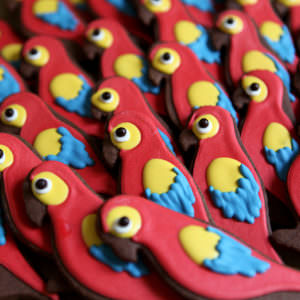 10 shortbread cookies Parrot