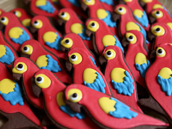 10 shortbread cookies Parrot